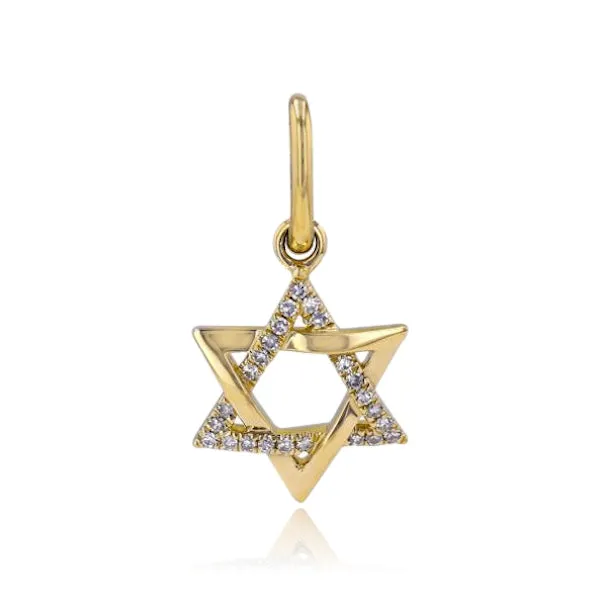Alev Jewelry Charm Necklaces Star of David Half Pave Half Gold Charm